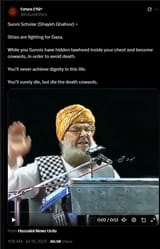 arab coward dogs