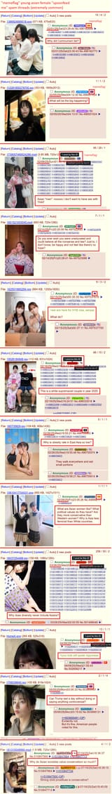 asian memeflags questions