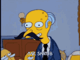 snrub[1]