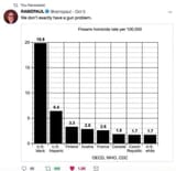 Gunproblem