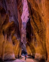 IMG_4644