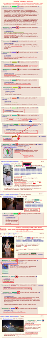 memeflags acting like israeli Jews