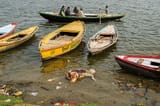 decomposing-corpse-floating-ganges-river-india-11345830313 (1)
