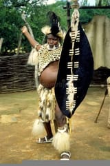 zulu serbian warrior