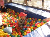 IMG_2905