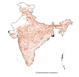 2025_environmental_survey