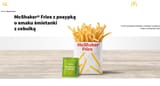 shaker fries