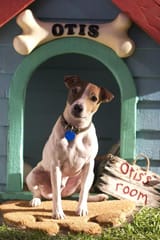 Otis