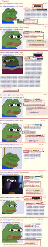 off topic frog pepe