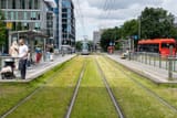 220706-tramhalte-Strawinskylaan-jan-vonk-1800x1201