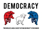 democracy11