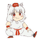 kung fu awoo