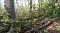 Special Operations Forces fighters are eliminating Russians in close combat, preventing them from gaining a foothold in new positions. 21-07-2025 HD_thumb.jpg
