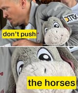 If you know, you know ;)) 20-07-2025 don&#039;t push the horses