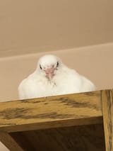 IMG_7847