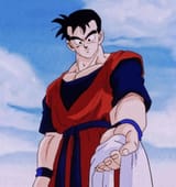 gohan towel