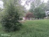 IMG_20250721_092321_862