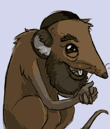 rat