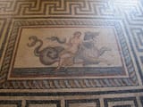 IMG_2911