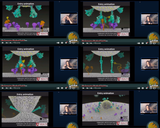 the_Coronavirus_unmasked_Structural_Task_Force_by_media_ccc_de