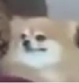 uwu