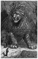 lion-mouse-1200
