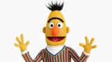 presskit_ss_bio_bert