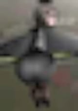 1753111959791544