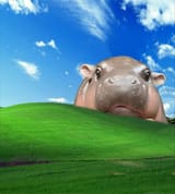 bitetubbies