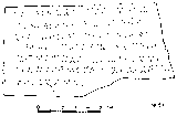 drawing_novgorod_0053_1
