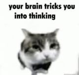 1748084100351618