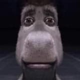 e1c