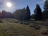 Resized_20250721_181118