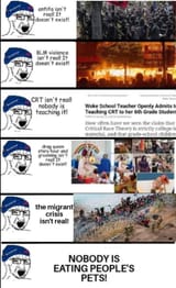 Fact Checkers
