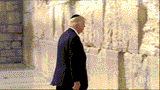 trump-jew