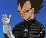 vegeta dwip