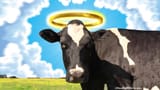 holy cow