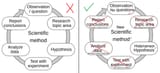 scientific method