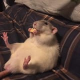 Chillin