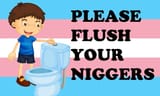 flush2