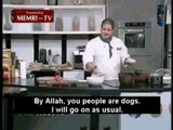 memri-tv-memri