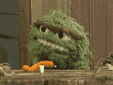 muppetwiki-muppet-wiki
