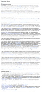 operation gladio