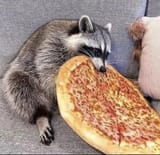 trash pizza hyakuu percento
