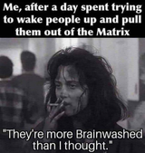 brainwashed