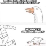 Why haven&#039;t they gone back
