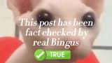 1753124052214405