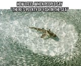 1370677761307