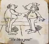 he likes you 1