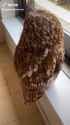 9012095751_thumb.jpg